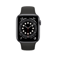 Apple Watch Series 6 [40mm] [Stainless Steel] [Wi-Fi + Cellular] [Grey] [Excellent] 
